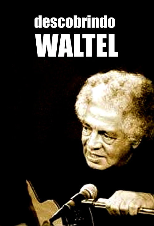 Movie poster for Descobrindo Waltel (2005)