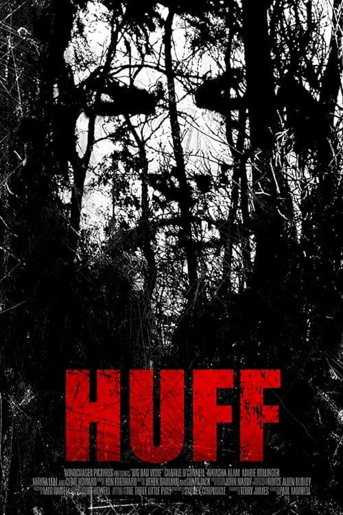 Movie poster for Huff (2013)