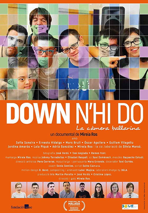 Movie poster for Down n'hi do - La càmera ballarina (2018)