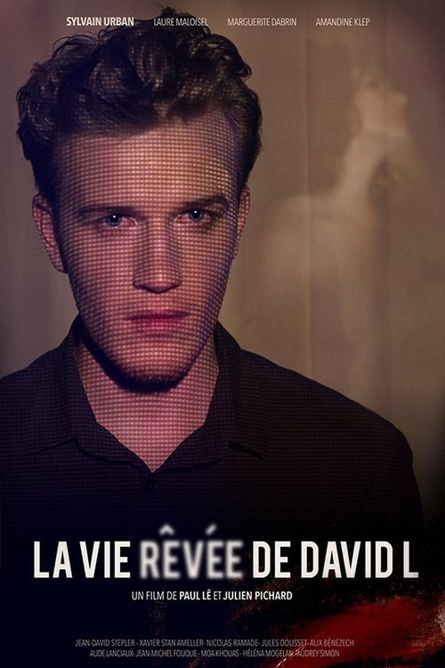Movie poster for The Dreamlife of David L (2014)