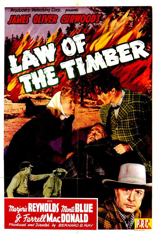 Movie poster for Law of the Timber (1941)