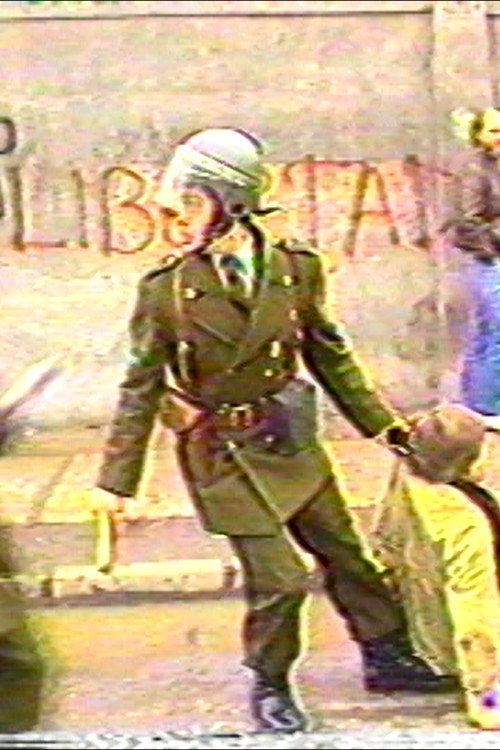 Movie poster for El páramo del ciudadano. Chile actual (1999)
