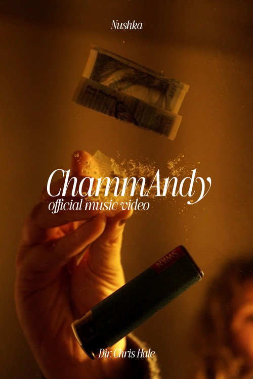 Movie poster for ChammAndy