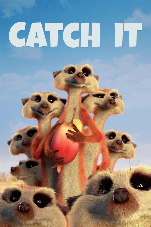 Movie poster for Catch It (2015)