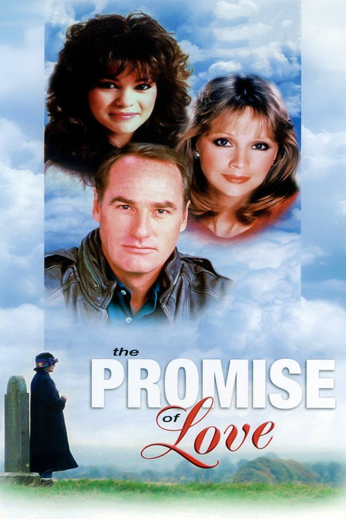 Movie poster for The Promise of Love (1980)