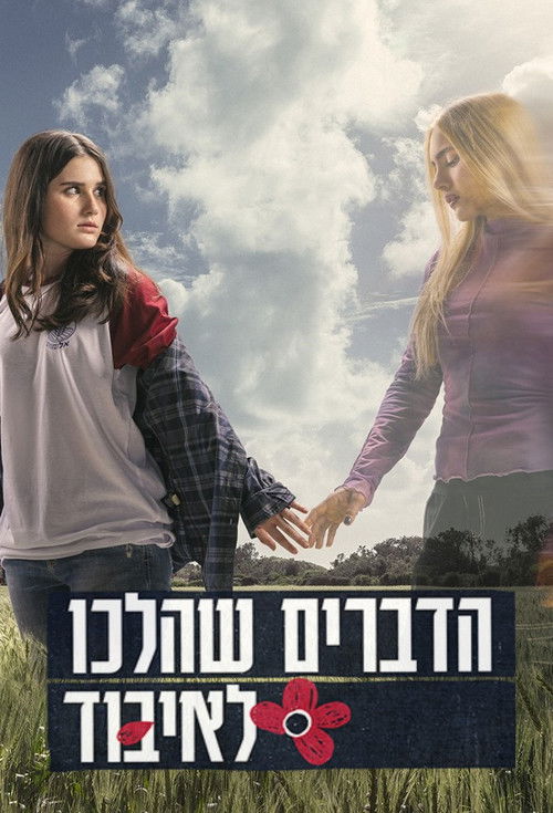 הדברים שהלכו לאיבוד poster