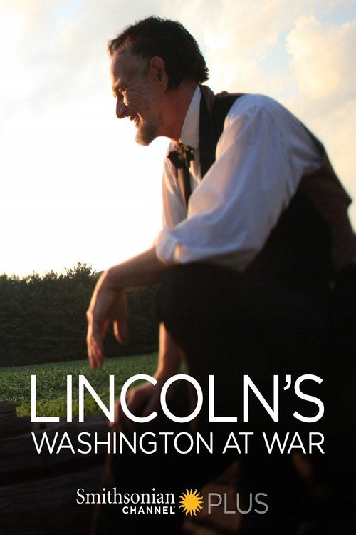 Movie poster for Lincoln's Washington at War (2013)