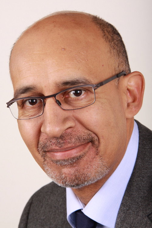 Photo of Harlem Désir, Acting