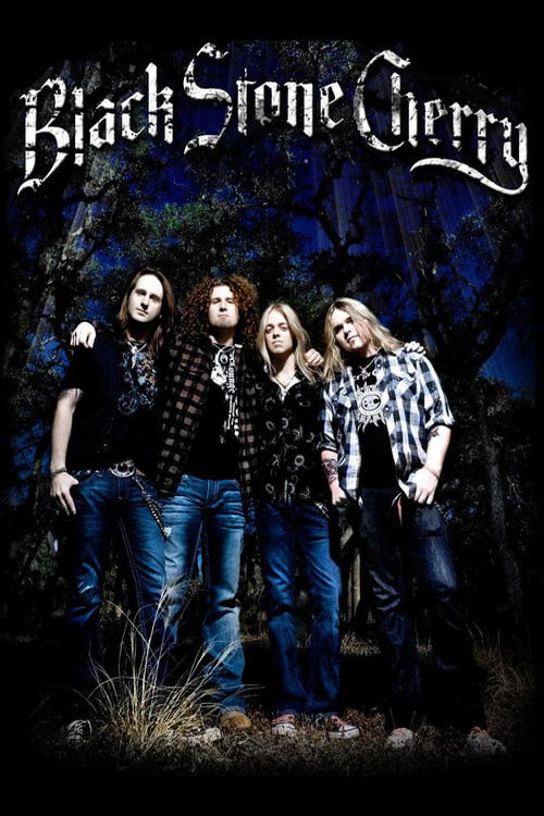 Movie poster for Black Stone Cherry: Crossroads Festival 2009 (2009)