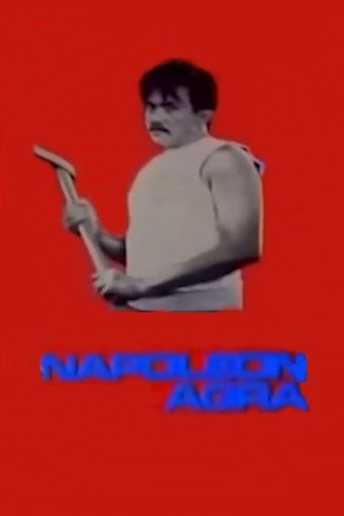 Movie poster for Napoleon Agra (1978)
