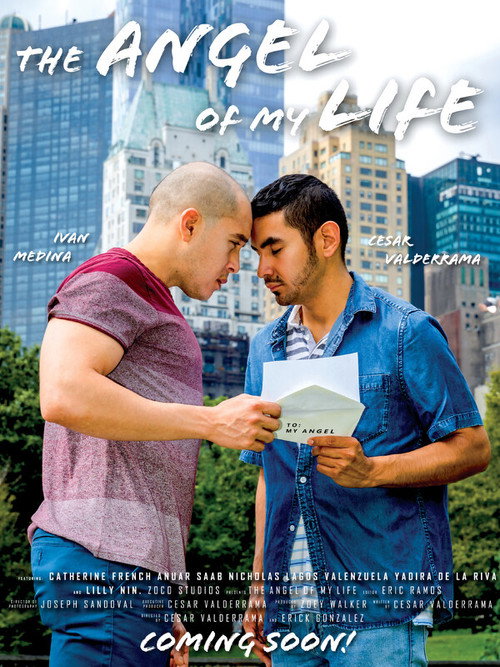 Movie poster for The Angel of My Life