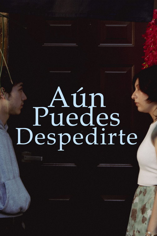 Movie poster for Aún puedes despedirte (2025)