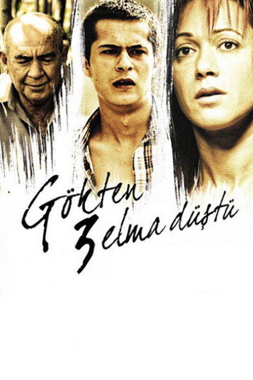 Movie poster for 3 Apples Fell from the Sky (2008)