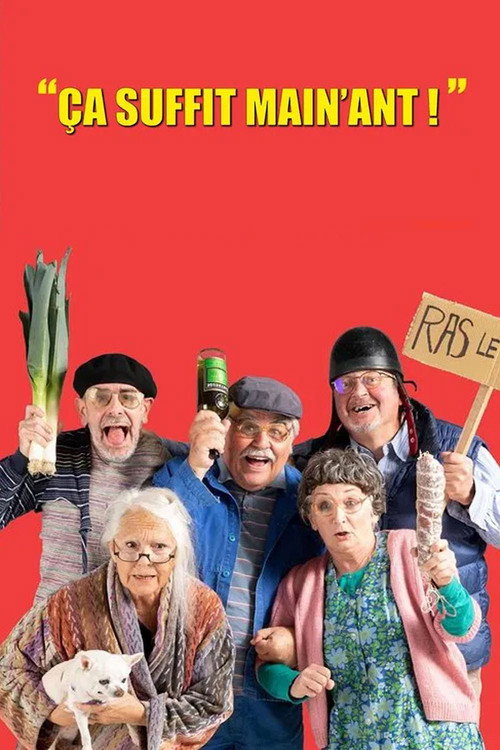 Movie poster for Ça suffit main'ant ! (2023)