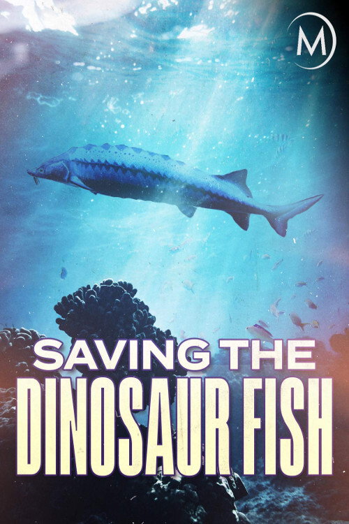 Movie poster for Saving the Dinosaur Fish (2020)