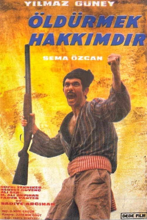 Movie poster for Öldürmek Hakkımdır (1968)