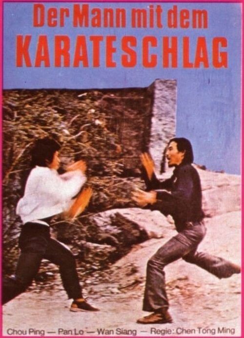 Movie poster for Killer in the Dark (1973)