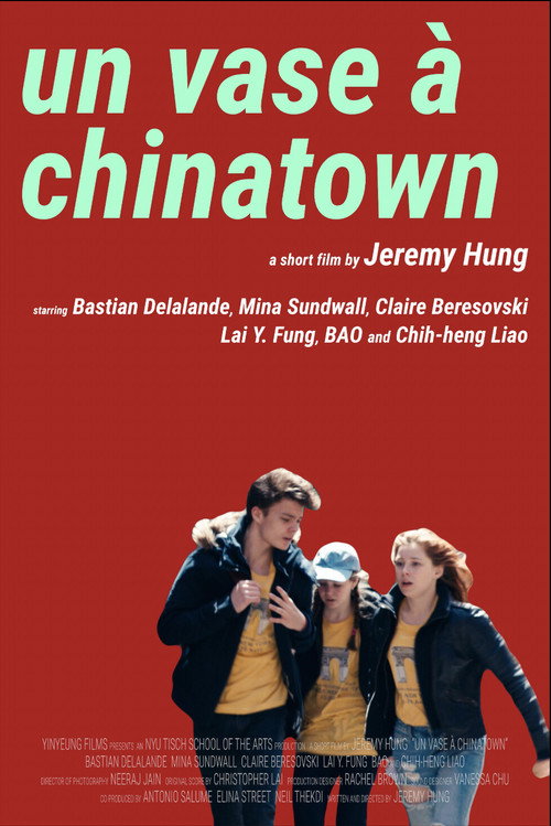 Movie poster for Un Vase à Chinatown (2017)