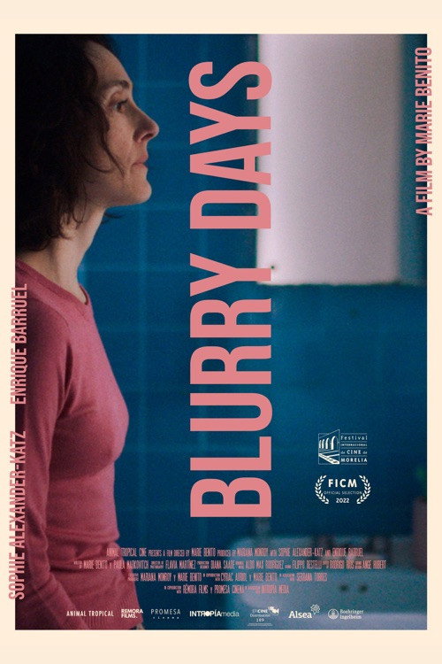 Movie poster for Blurry Days (2022)