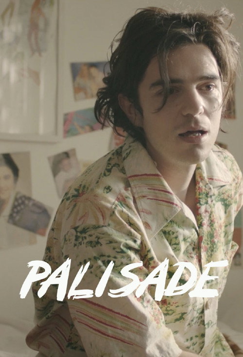 Movie poster for Palisade (2015)