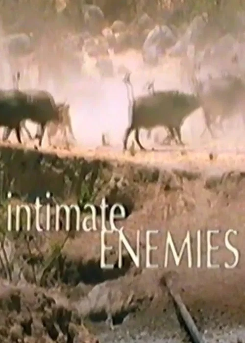 Movie poster for Intimate Enemies (2000)