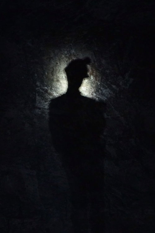 Movie poster for Salt (2026)