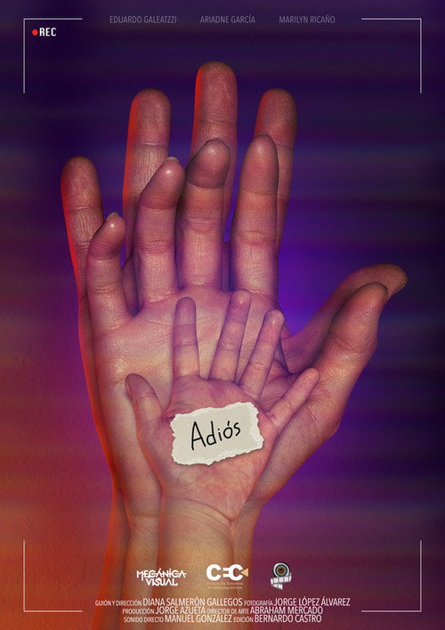 Movie poster for Adiós (2022)