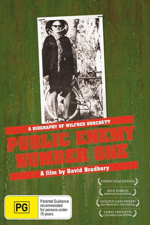Movie poster for Public Enemy Number One (1981)