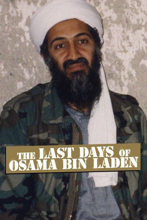 Movie poster for The Last Days of Osama Bin Laden (2011)