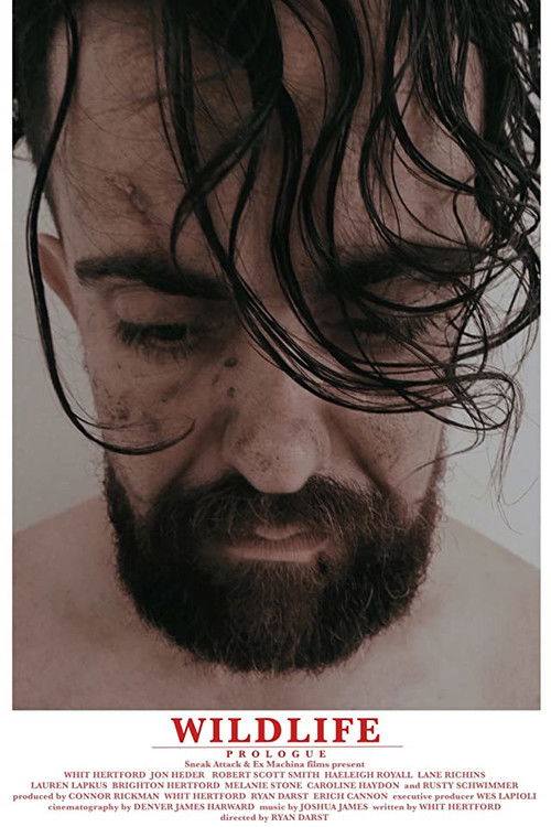 Movie poster for Wildlife (2014)