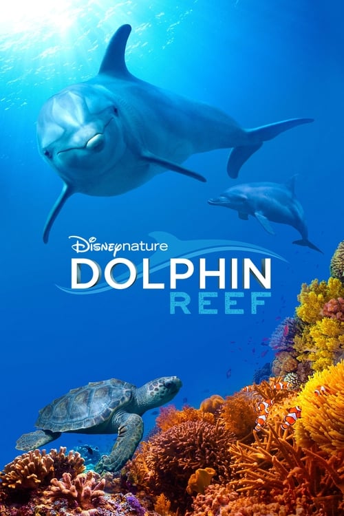 Movie poster for Dolphin Reef (2018)