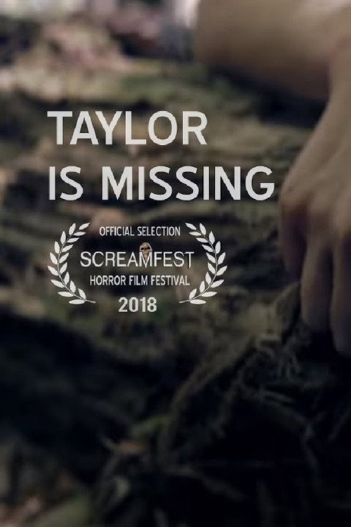 Movie poster for Taylor Is Missing (2018)