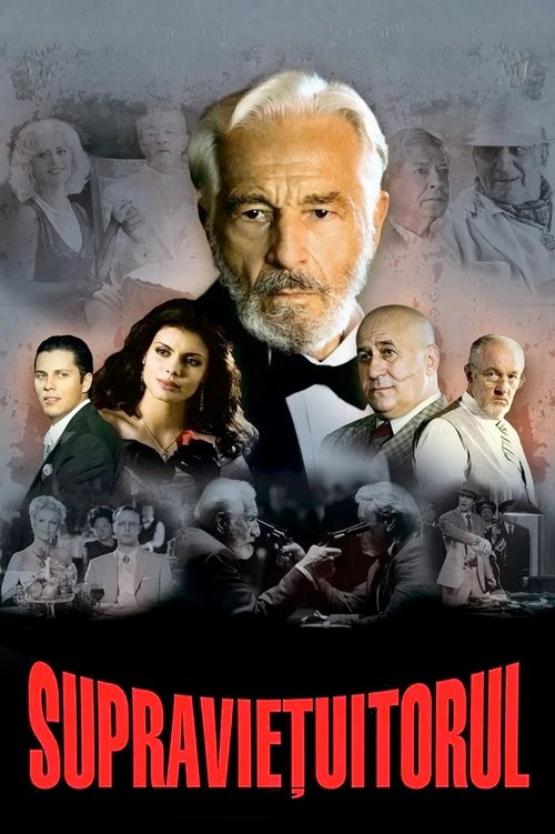 Movie poster for The Survivor (2008)