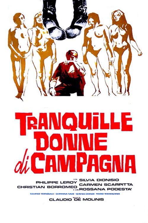 Movie poster for The Women of Quiet Country (1980)