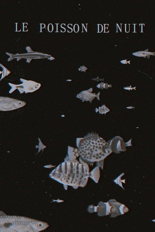 Movie poster for The Night Fish (2018)