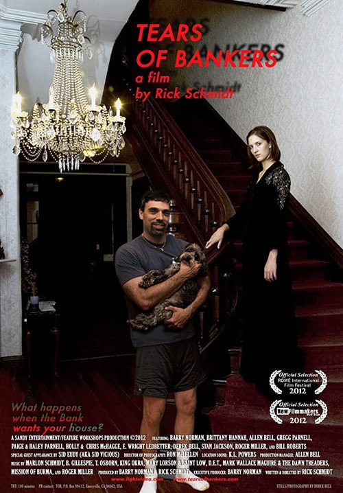 Movie poster for Tears of Bankers (2012)