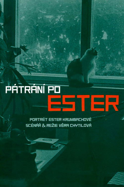 Movie poster for Searching for Ester (2005)