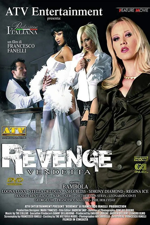 Movie poster for Revenge (2008)