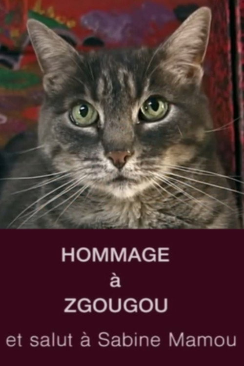 Movie poster for Tribute to Zgougou the Cat (2002)