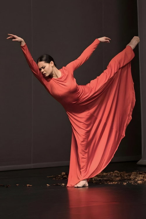 Movie poster for Adieu l’opéra (2025)