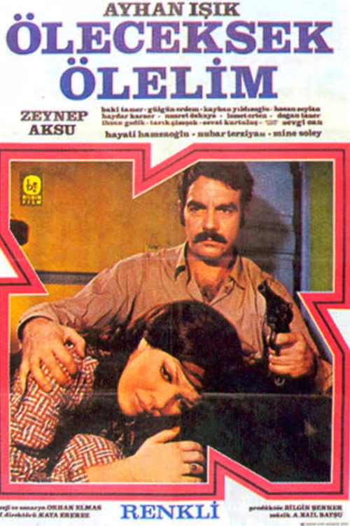 Movie poster for Öleceksek Ölelim (1971)