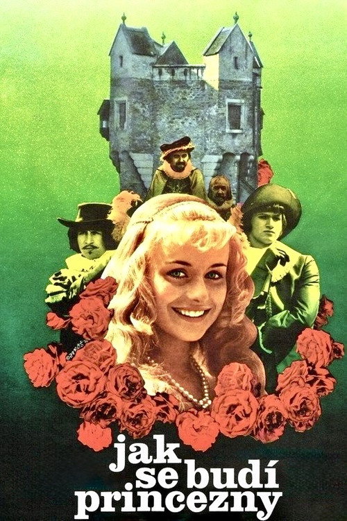 Movie poster for How to Wake a Princess (1978)