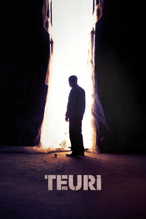 Movie poster for Teuri (2020)