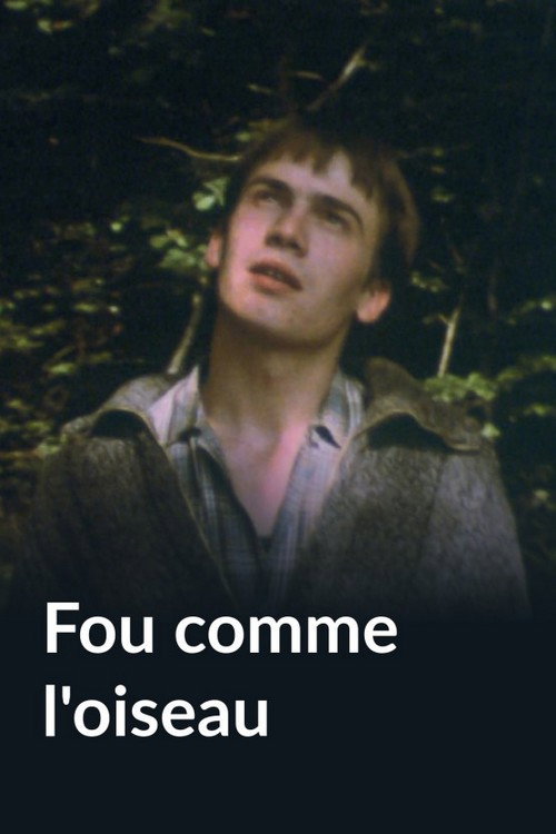 Movie poster for Fou comme l'oiseau (1983)