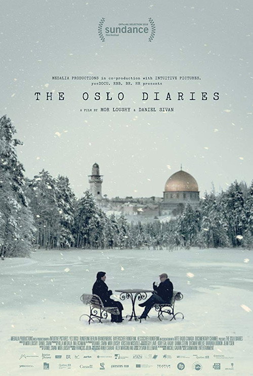 Series poster for The Oslo Diaries (2018)