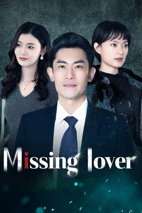 Missing Lover poster