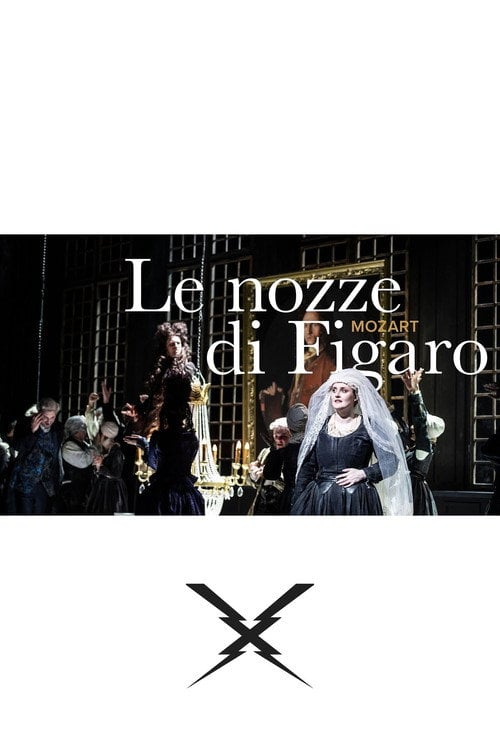 Movie poster for The Marriage of Figaro - Hannover (2022)