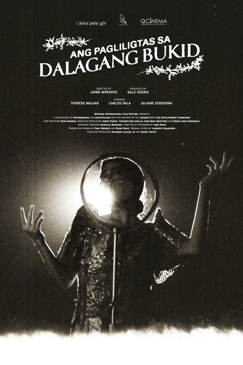 Movie poster for Saving the Country Maiden (2022)