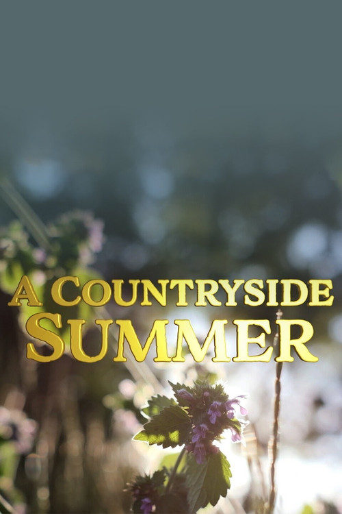 Series poster for A Countryside Summer (2022)