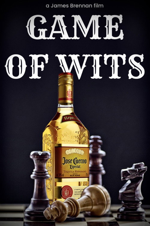Movie poster for Game of Wits (2022)